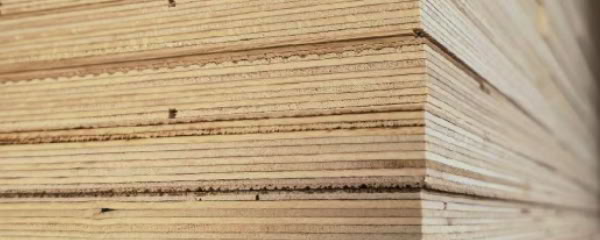 WW Cover Plywoods Plywood Supply from Wild Wooding Global
