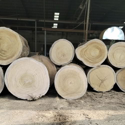Project Raw Log Raw log for veneer productions